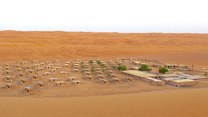 Arabian Oryx Camp